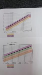 ﾏｲｸﾗﾌﾞ分析表